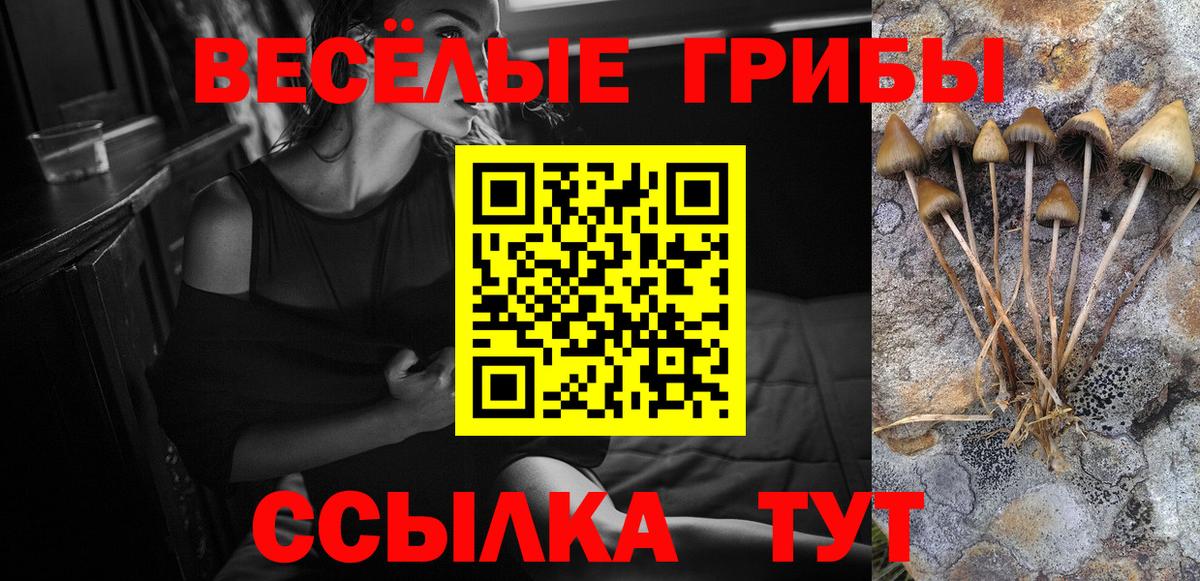 Галлюциногенные грибы мицелий Лесозаводск