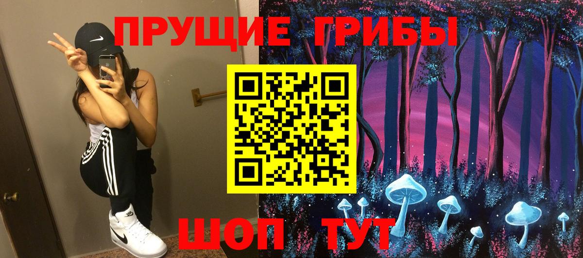 купить наркотики сайты  Вход с VPN  Лесозаводск  Галлюциногенные грибы мицелий 